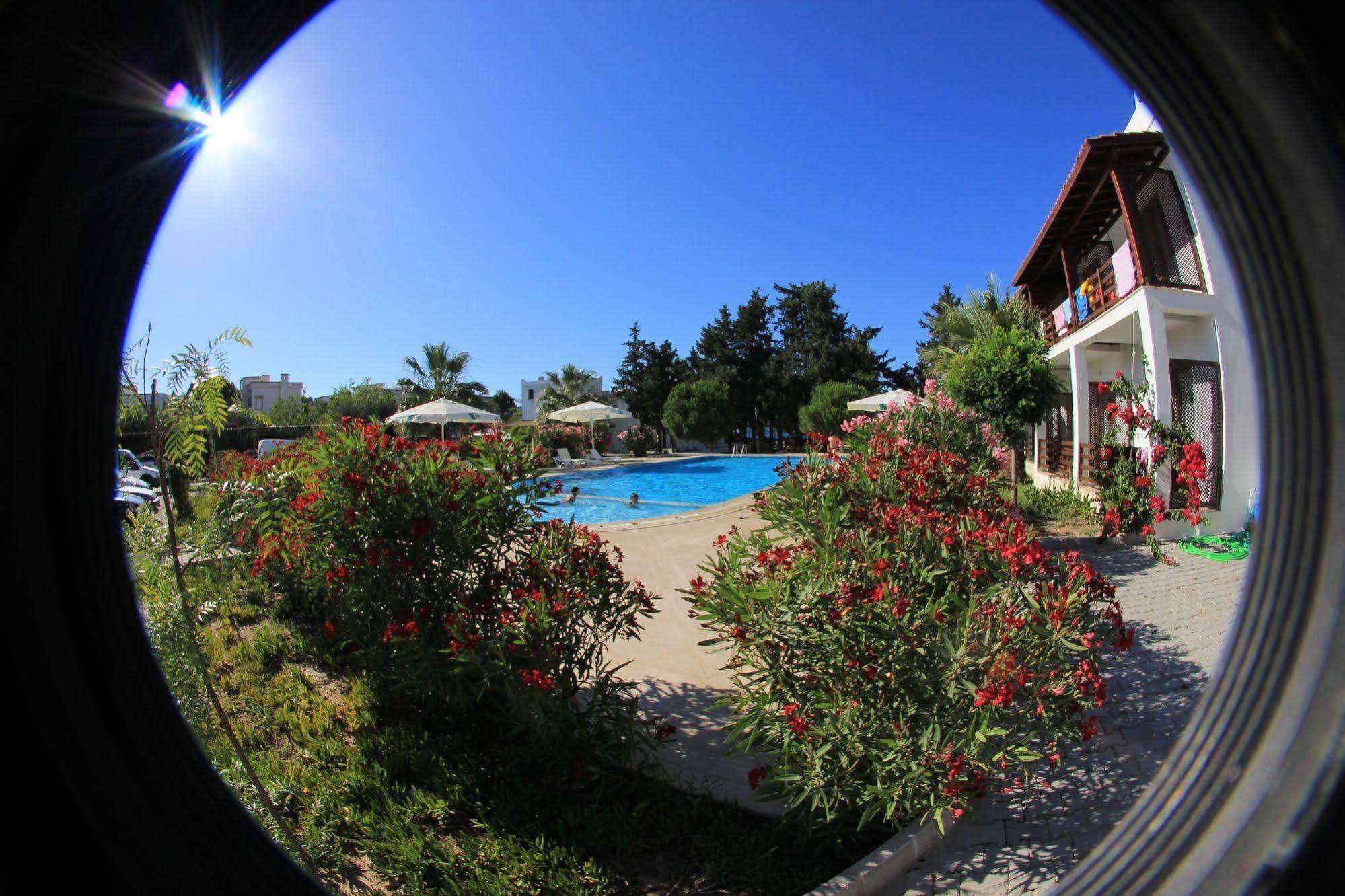 Selvi Beach Hotel Golturkbuku Kültér fotó