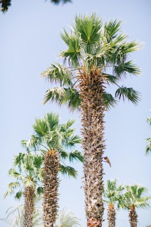Selvi Beach Hotel Golturkbuku Kültér fotó