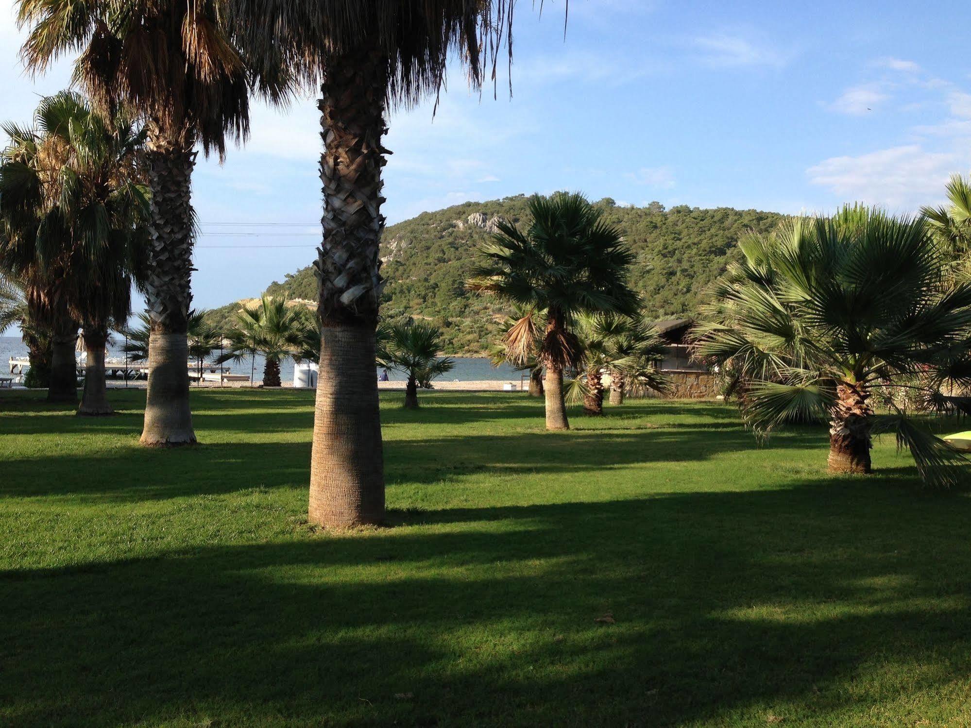 Selvi Beach Hotel Golturkbuku Kültér fotó